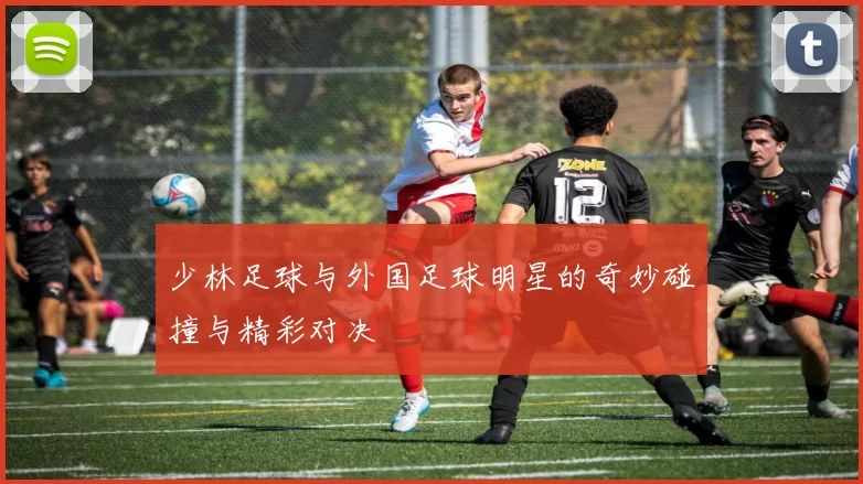 少林足球与外国足球明星的奇妙碰撞与精彩对决