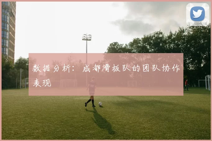 数据分析：成都滑板队的团队协作表现