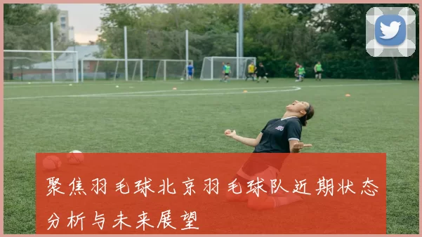 聚焦羽毛球北京羽毛球队近期状态分析与未来展望