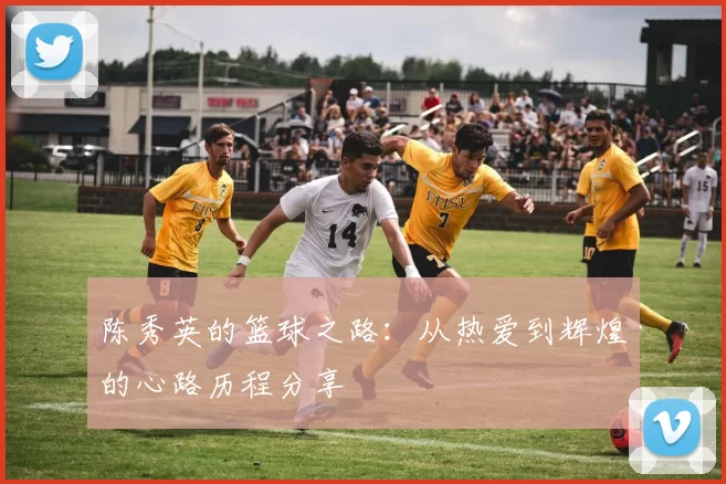 陈秀英的篮球之路：从热爱到辉煌的心路历程分享
