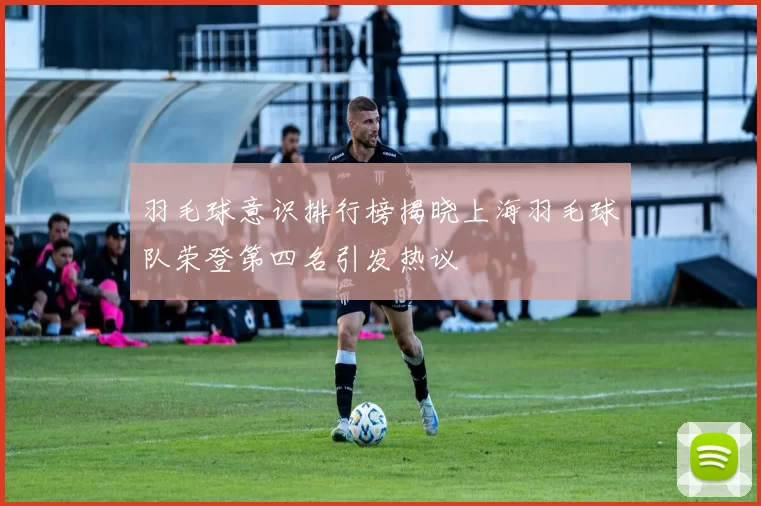 羽毛球意识排行榜揭晓上海羽毛球队荣登第四名引发热议