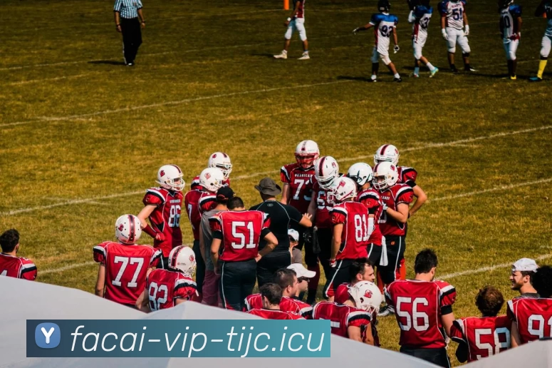 App Interface Preview